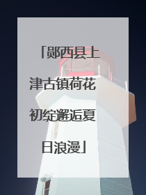 郧西县上津古镇荷花初绽邂逅夏日浪漫