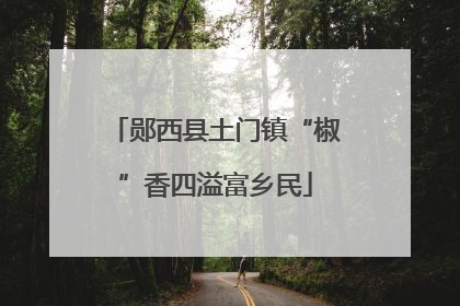 郧西县土门镇“椒”香四溢富乡民