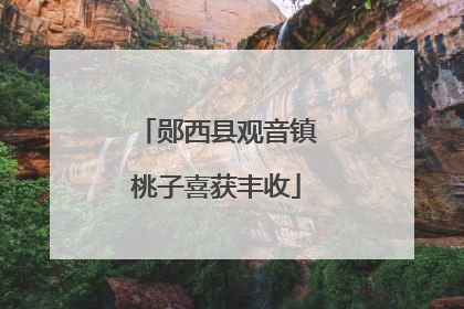 郧西县观音镇桃子喜获丰收