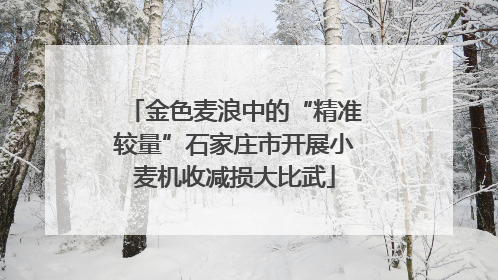 金色麦浪中的“精准较量”石家庄市开展小麦机收减损大比武