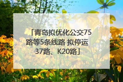 青岛拟优化公交75路等5条线路 拟停运37路、K20路