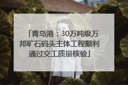 青岛港：30万吨级万邦矿石码头主体工程顺利通过交工质量核验