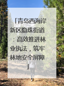 青岛西海岸新区隐珠街道：高效推进林业执法，筑牢林地安全屏障