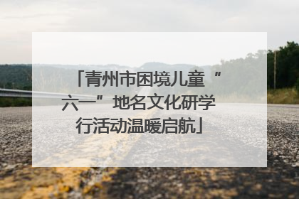 青州市困境儿童“六一”地名文化研学行活动温暖启航