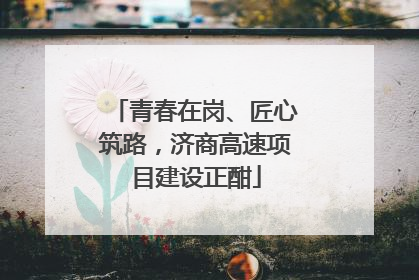 青春在岗、匠心筑路，济商高速项目建设正酣