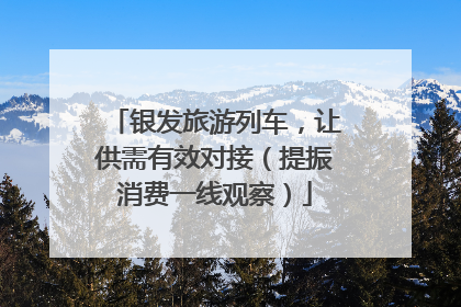银发旅游列车，让供需有效对接（提振消费一线观察）