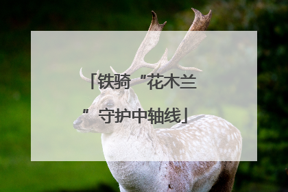 铁骑“花木兰”守护中轴线