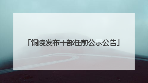 铜陵发布干部任前公示公告