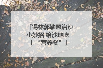 锡林郭勒盟治沙小妙招 给沙地吃上“营养餐”