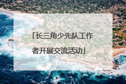 长三角少先队工作者开展交流活动