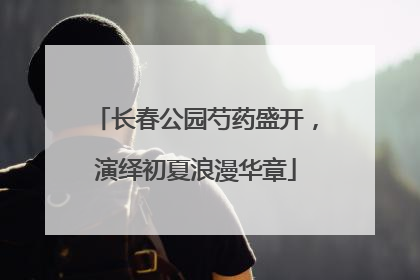 长春公园芍药盛开，演绎初夏浪漫华章