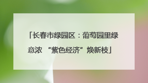 长春市绿园区：葡萄园里绿意浓 “紫色经济”焕新枝