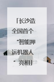 长沙造全国首个“智能押运机器人”亮相