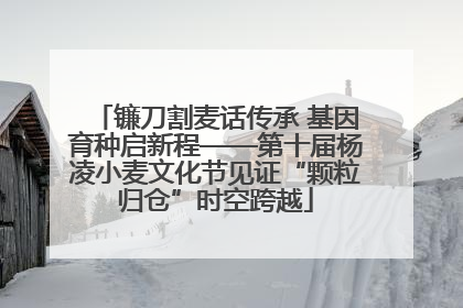 镰刀割麦话传承 基因育种启新程——第十届杨凌小麦文化节见证“颗粒归仓”时空跨越
