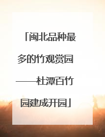 闽北品种最多的竹观赏园——杜潭百竹园建成开园