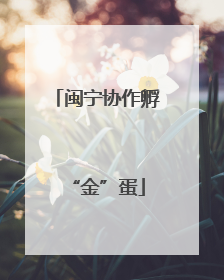 闽宁协作孵“金”蛋