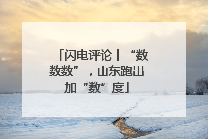 闪电评论丨“数数数”，山东跑出加“数”度