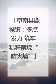 阜南县鹿城镇：多点发力 筑牢秸秆禁烧“防火墙”