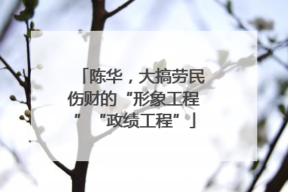 陈华，大搞劳民伤财的“形象工程”“政绩工程”