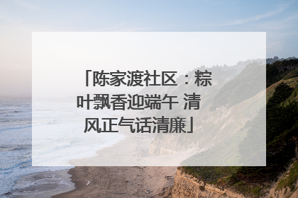 陈家渡社区：粽叶飘香迎端午 清风正气话清廉