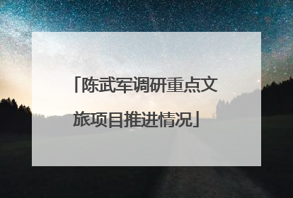 陈武军调研重点文旅项目推进情况