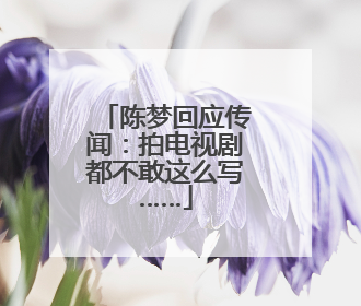 陈梦回应传闻：拍电视剧都不敢这么写……