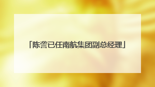 陈詟已任南航集团副总经理