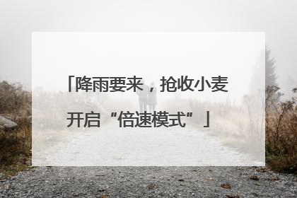降雨要来，抢收小麦开启“倍速模式”