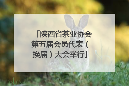 陕西省茶业协会第五届会员代表（换届）大会举行