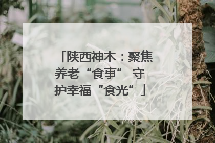 陕西神木：聚焦养老“食事” 守护幸福“食光”