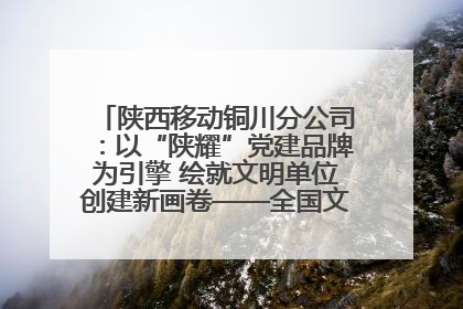 陕西移动铜川分公司：以“陕耀”党建品牌为引擎 绘就文明单位创建新画卷——全国文明单位创建纪实