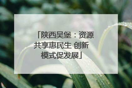 陕西吴堡：资源共享惠民生 创新模式促发展