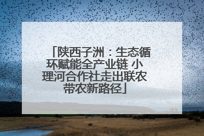 陕西子洲：生态循环赋能全产业链 小理河合作社走出联农带农新路径