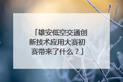 雄安低空交通创新技术应用大赛初赛带来了什么？
