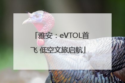 雅安：eVTOL首飞 低空文旅启航