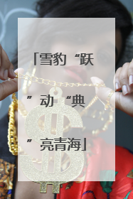 雪豹“跃”动 “典”亮青海