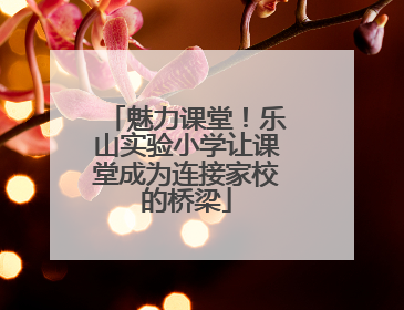 魅力课堂！乐山实验小学让课堂成为连接家校的桥梁