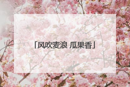 风吹麦浪 瓜果香