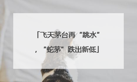 飞天茅台再“跳水”，“蛇茅”跌出新低