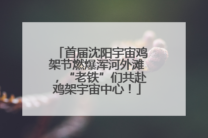 首届沈阳宇宙鸡架节燃爆浑河外滩，“老铁”们共赴鸡架宇宙中心！