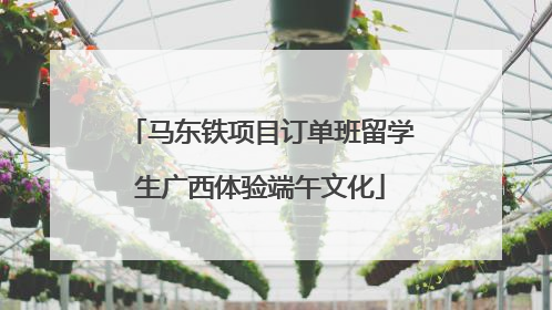 马东铁项目订单班留学生广西体验端午文化