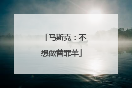 马斯克：不想做替罪羊