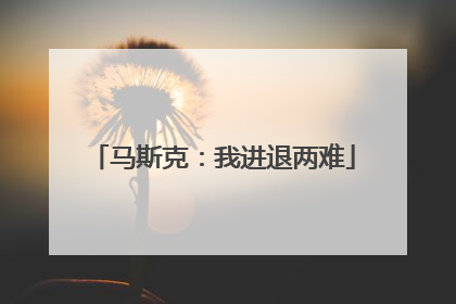 马斯克：我进退两难