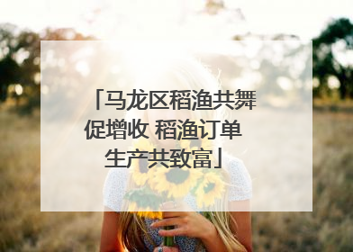 马龙区稻渔共舞促增收 稻渔订单生产共致富