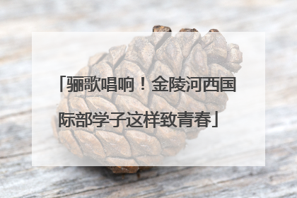 骊歌唱响！金陵河西国际部学子这样致青春