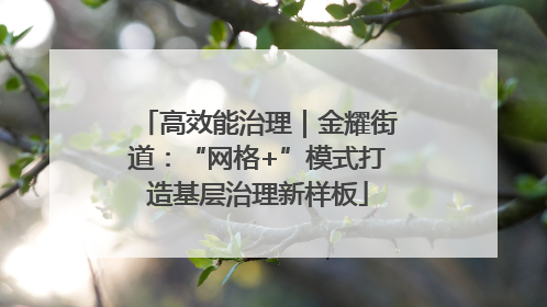 高效能治理｜金耀街道：“网格+”模式打造基层治理新样板