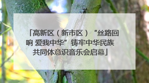 高新区（新市区）“丝路回响 爱我中华”铸牢中华民族共同体意识音乐会启幕