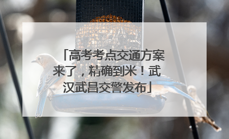 高考考点交通方案来了，精确到米！武汉武昌交警发布