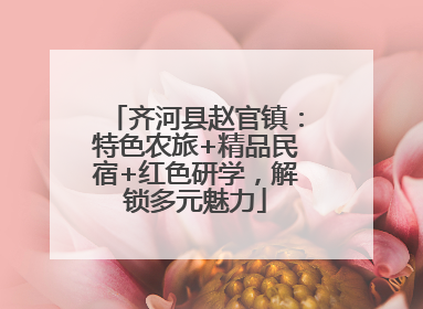 齐河县赵官镇：特色农旅+精品民宿+红色研学，解锁多元魅力