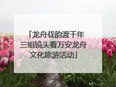 龙舟载韵渡千年 三组镜头看万安龙舟文化旅游活动